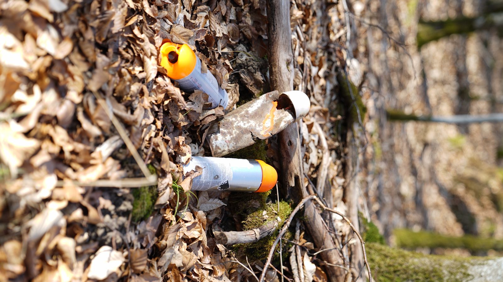 Zurückgelassene Spraydosen im Wald